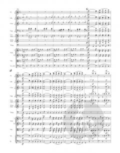 Ouvertüre 'Coriolan' op. 62 von Ludwig van Beethoven 