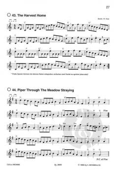 Streifzug durch Irland (Richard Voss) 