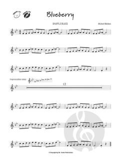 The Easy Sound of Pop, Rock & Blues von Michiel Merkies 