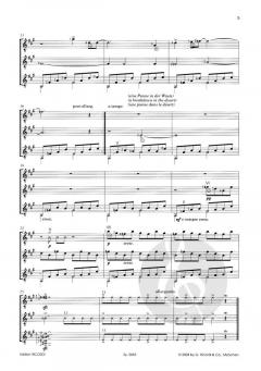 Eine phantastische Reise von Maria Linnemann 