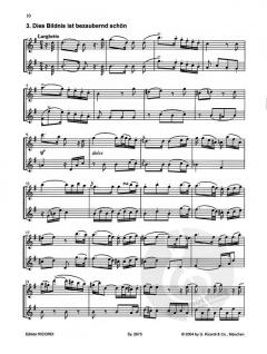 Die Zauberflöte von Wolfgang Amadeus Mozart im Alle Noten Shop kaufen - SY2673