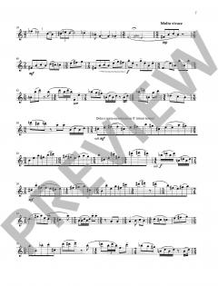 Lyrische Szenen von Markus Zahnhausen (Download) 