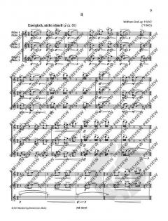 3 aulische Gesänge op. 150 von Wolfram Graf (Download) 