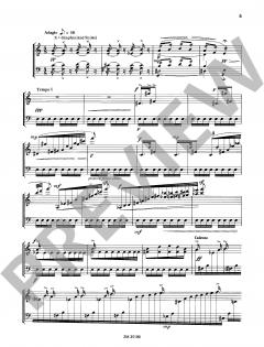 Dream of the cherry blossoms von Keiko Abe (Download) 