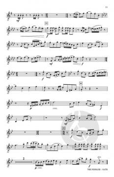 The Fiddler von Johannes Brahms 