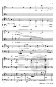 The Stormy Winter von Bruce W. Tippette 