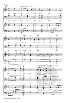 The Stormy Winter von Bruce W. Tippette 