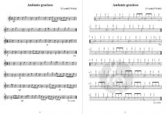 20 Ukulelen-Duos im Alle Noten Shop kaufen online kaufen