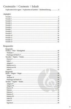 Flamenco Guitar Technics 1 von Gerhard Graf-Martinez 