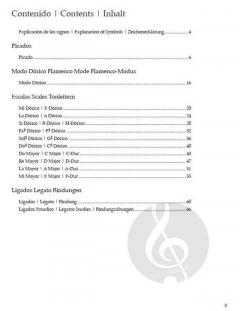 Flamenco Guitar Technics 2 von Gerhard Graf-Martinez 