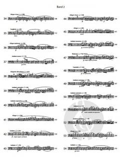 Vocalisen (Klavierbegleitung) Band 2 von Marco Bordogni im Alle Noten Shop kaufen