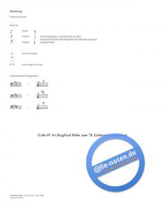 Echo IV von Robert H.P. Platz 