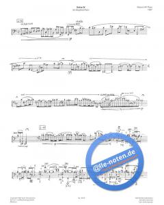 Echo IV von Robert H.P. Platz 