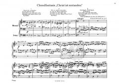 Ausgewählte Orgelwerke 1 von Richard Bartmuß im Alle Noten Shop kaufen