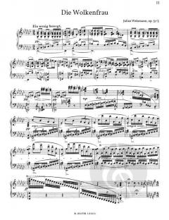 Aus den Bergen op. 57 von Julius Weismann 