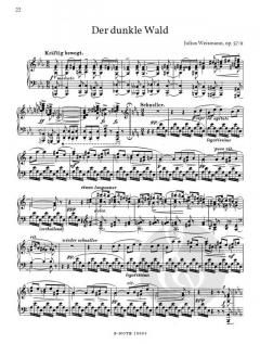 Aus den Bergen op. 57 von Julius Weismann 