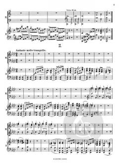 Konzertsonate C-Dur op. 24 von Richard Bartmuß 