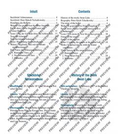 Schwanensee von Peter Iljitsch Tschaikowsky 