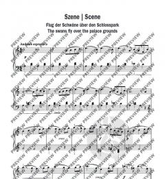 Schwanensee von Peter Iljitsch Tschaikowsky 