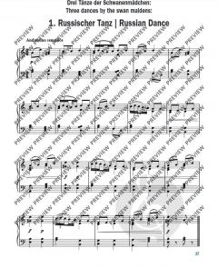 Schwanensee von Peter Iljitsch Tschaikowsky 