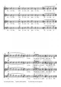 Noe, noe von David Bednall (Download) 