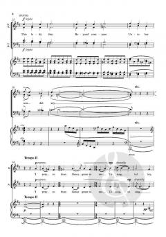 A star as bright as day von Alan Bullard (Download) 