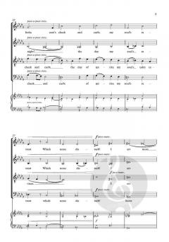 The Night von Toby Young (Download) 