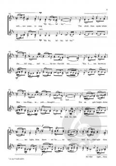 This endris night von Sarah Quartel (Download) 