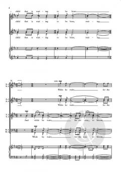 The Rose In The Middle Of Winter von Bob Chilcott (Download) 