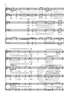 The Rose In The Middle Of Winter von Bob Chilcott (Download) 