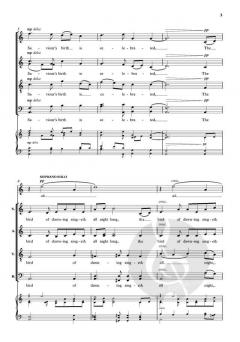 The Bird of Dawning von Bob Chilcott (Download) 