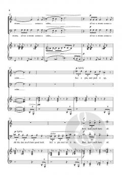 Not Too Fast, Not Too Slow von Alan Bullard (Download) 