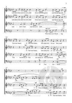 O Tannenbaum von John Rutter (Download) 