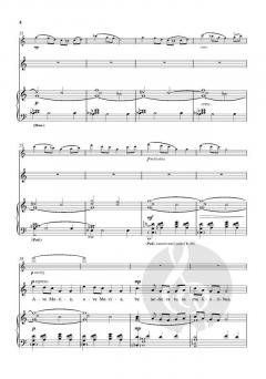 Ave Maria von David Bednall (Download) 