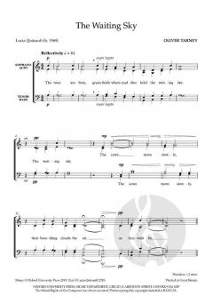 The Waiting Sky von Oliver Tarney (Download) 