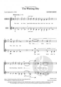 The Waiting Sky von Oliver Tarney (Download) 