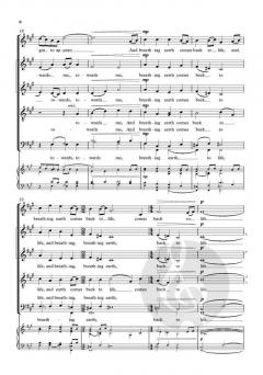 When spring comes walking von Bob Chilcott (Download) 