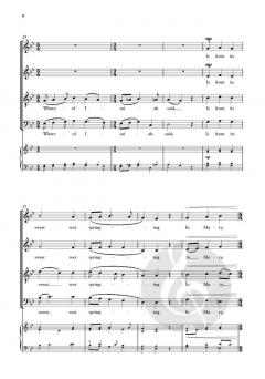 A Spotless Rose von Becky McGlade (Download) 