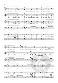 As the rain hides the stars von Ian Assersohn (Download) 