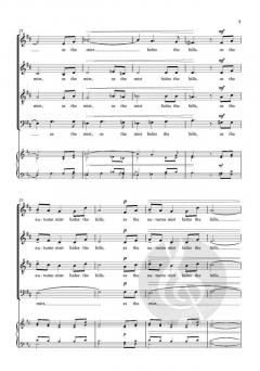 As the rain hides the stars von Ian Assersohn (Download) 