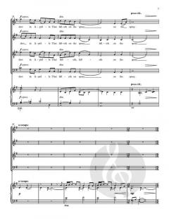 Salisbury Motets von Bob Chilcott (Download) 