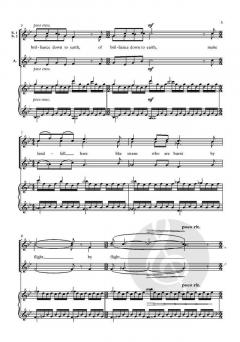 The Seeds of Stars von Bob Chilcott (Download) 