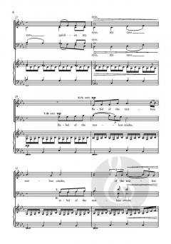 The Wellspring von Bob Chilcott (Download) 