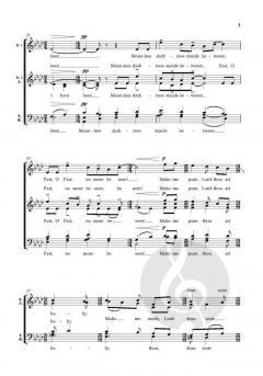 The Bethlehem Star von Bob Chilcott (Download) 