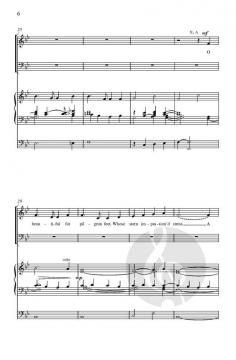 America the Beautiful von Mack Wilberg (Download) 