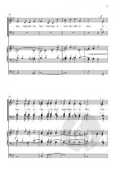 America the Beautiful von Mack Wilberg (Download) 