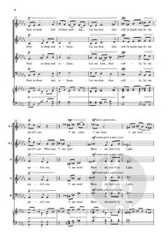 Round me falls the night von Annabel Mclauchlan Rooney (Download) 