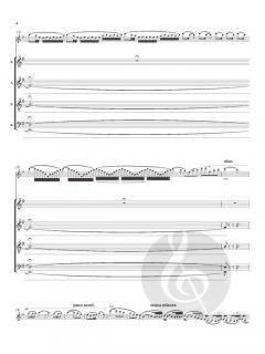 The Lark Ascending von Ralph Vaughan Williams (Download) 