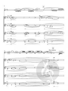 The Lark Ascending von Ralph Vaughan Williams (Download) 