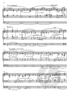 Elegy and Festive Bells von John Rutter (Download) 